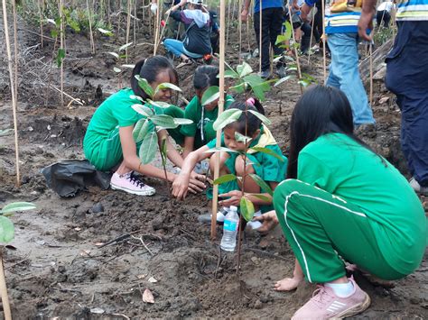 muling pagtatanim ng mga puno sa nakakalbong kagubatan|Muling pagtatanim ng mga puno sa nakakalbong kagubatan..